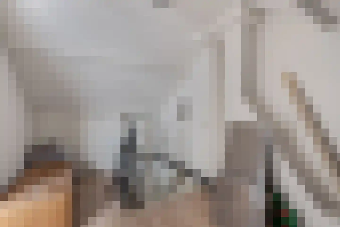 Aldlânsdyk 62 Stiens thumbnail 28