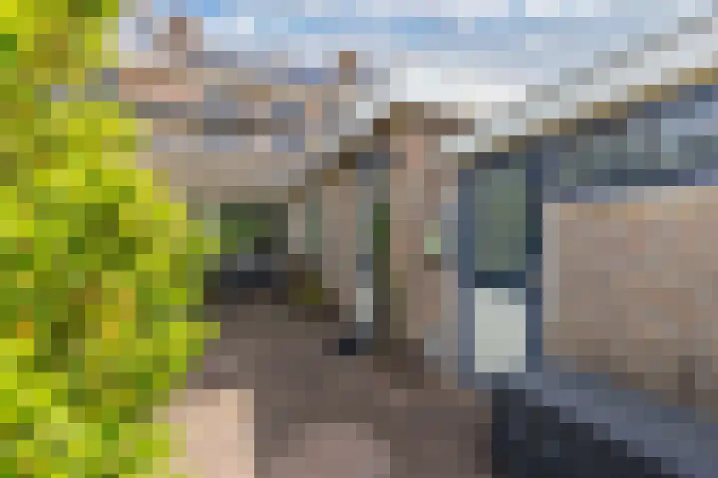 Aldlânsdyk 62 Stiens thumbnail 31