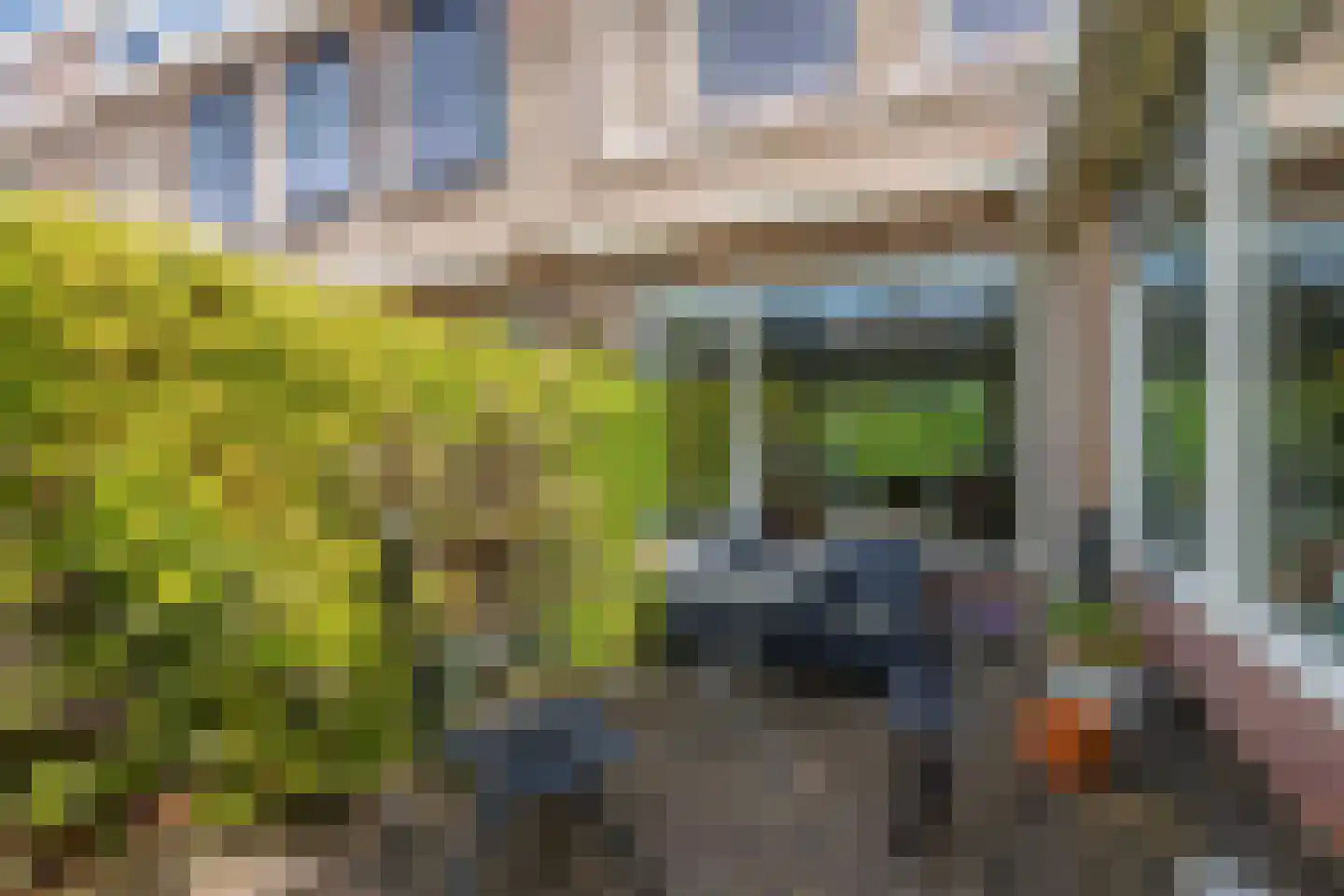 Aldlânsdyk 62 Stiens thumbnail 32
