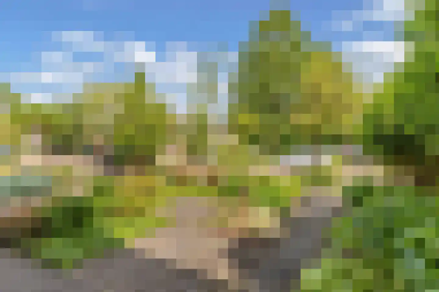 Aldlânsdyk 62 Stiens thumbnail 38