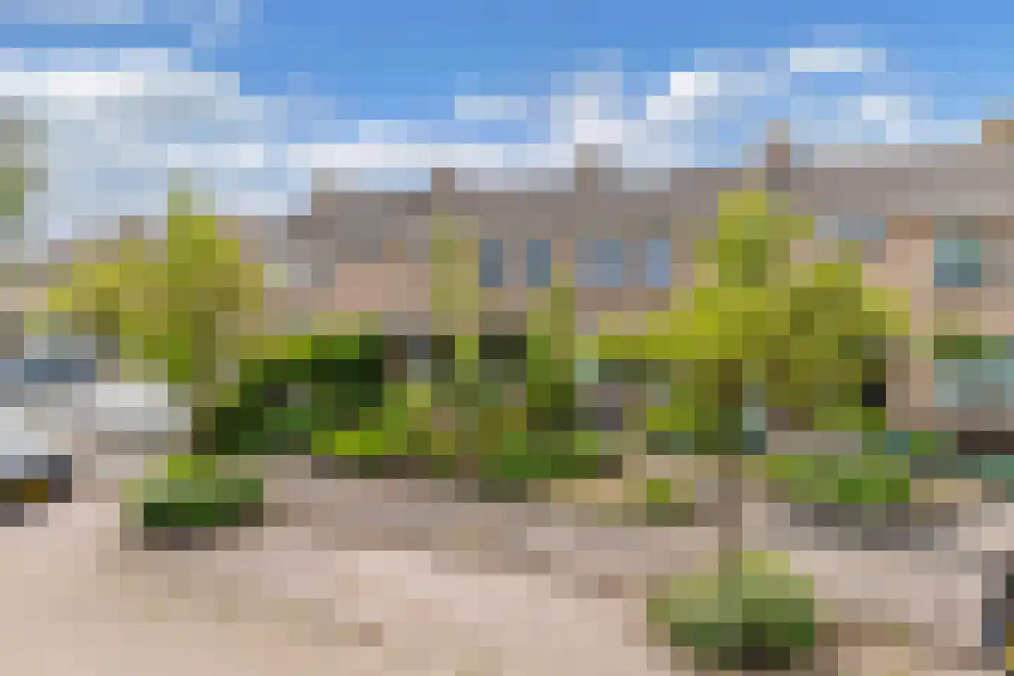 Aldlânsdyk 62 Stiens thumbnail 39