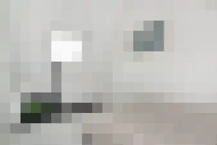 Aldo v. Eyckstraat 16 Bergschenhoek thumbnail 38
