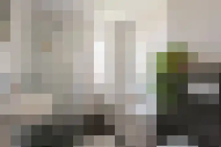 Aldo van Eyckplantsoen 47 Utrecht thumbnail 21