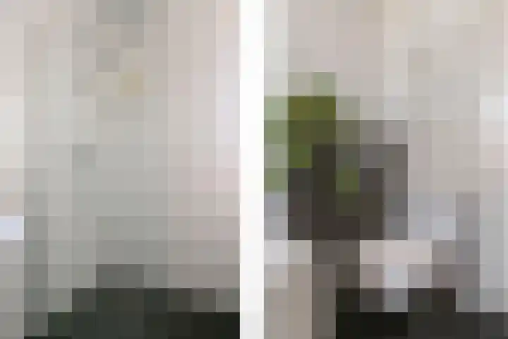 Aldo van Eyckplantsoen 47 Utrecht thumbnail 22