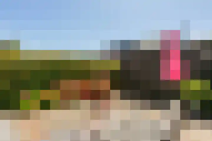 Aldo van Eyckplantsoen 47 Utrecht thumbnail 30