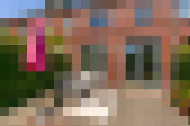 Aldo van Eyckplantsoen 47 Utrecht thumbnail 31