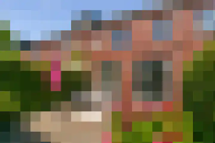 Aldo van Eyckplantsoen 47 Utrecht thumbnail 32