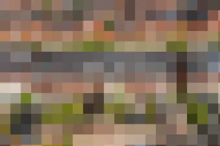 Aldo van Eyckplantsoen 47 Utrecht thumbnail 34