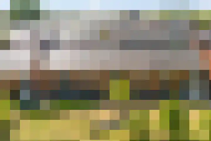 Aldo van Eyckplantsoen 47 Utrecht thumbnail 35