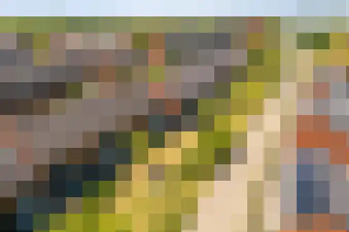 Aldo van Eyckplantsoen 47 Utrecht thumbnail 36