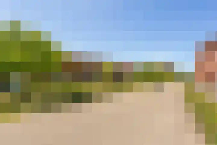 Aldo van Eyckplantsoen 47 Utrecht thumbnail 37