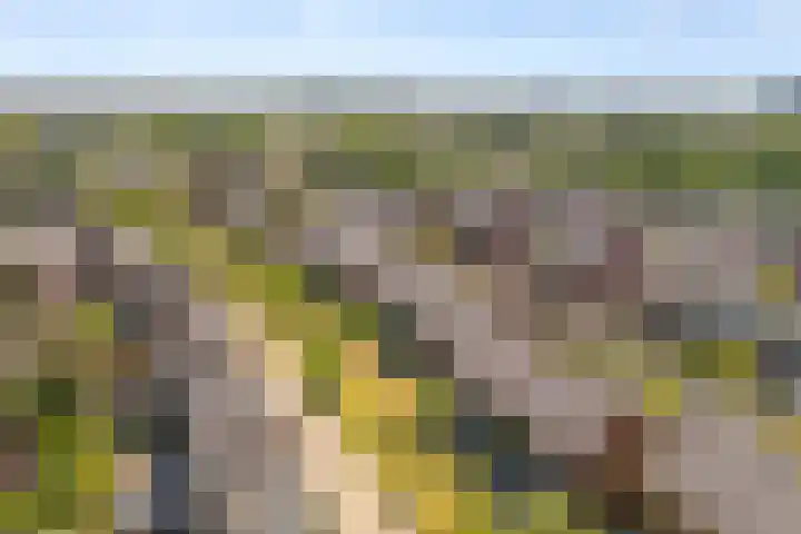 Aldo van Eyckplantsoen 47 Utrecht thumbnail 38