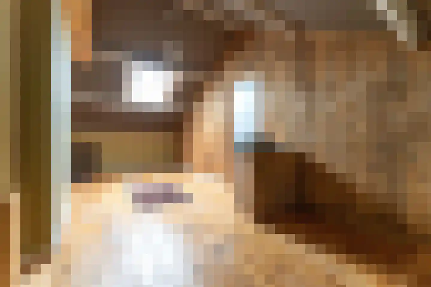 Aldringahof 14 Baarlo thumbnail 20