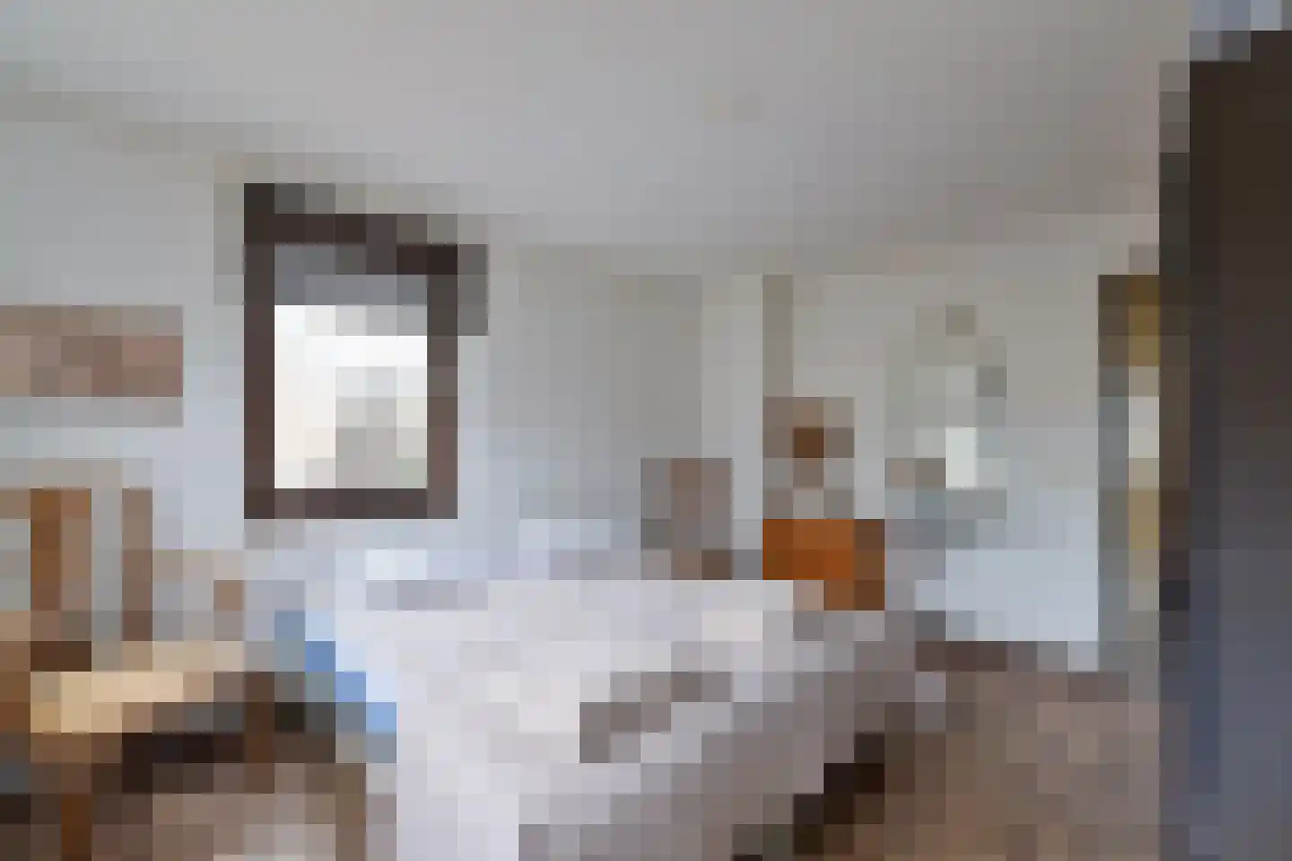 Aldringahof 2 Baarlo thumbnail 11