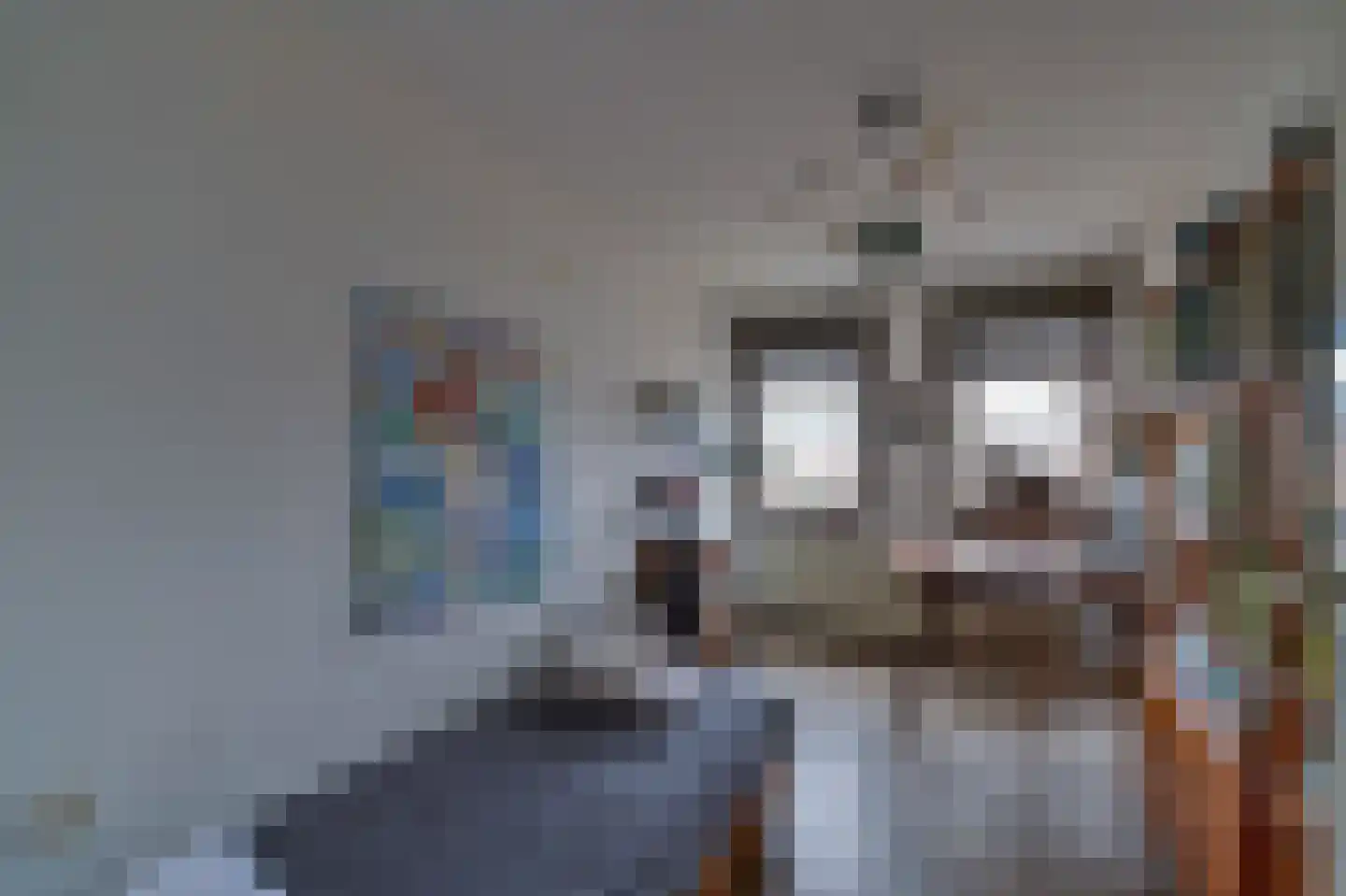 Aldringahof 2 Baarlo thumbnail 16