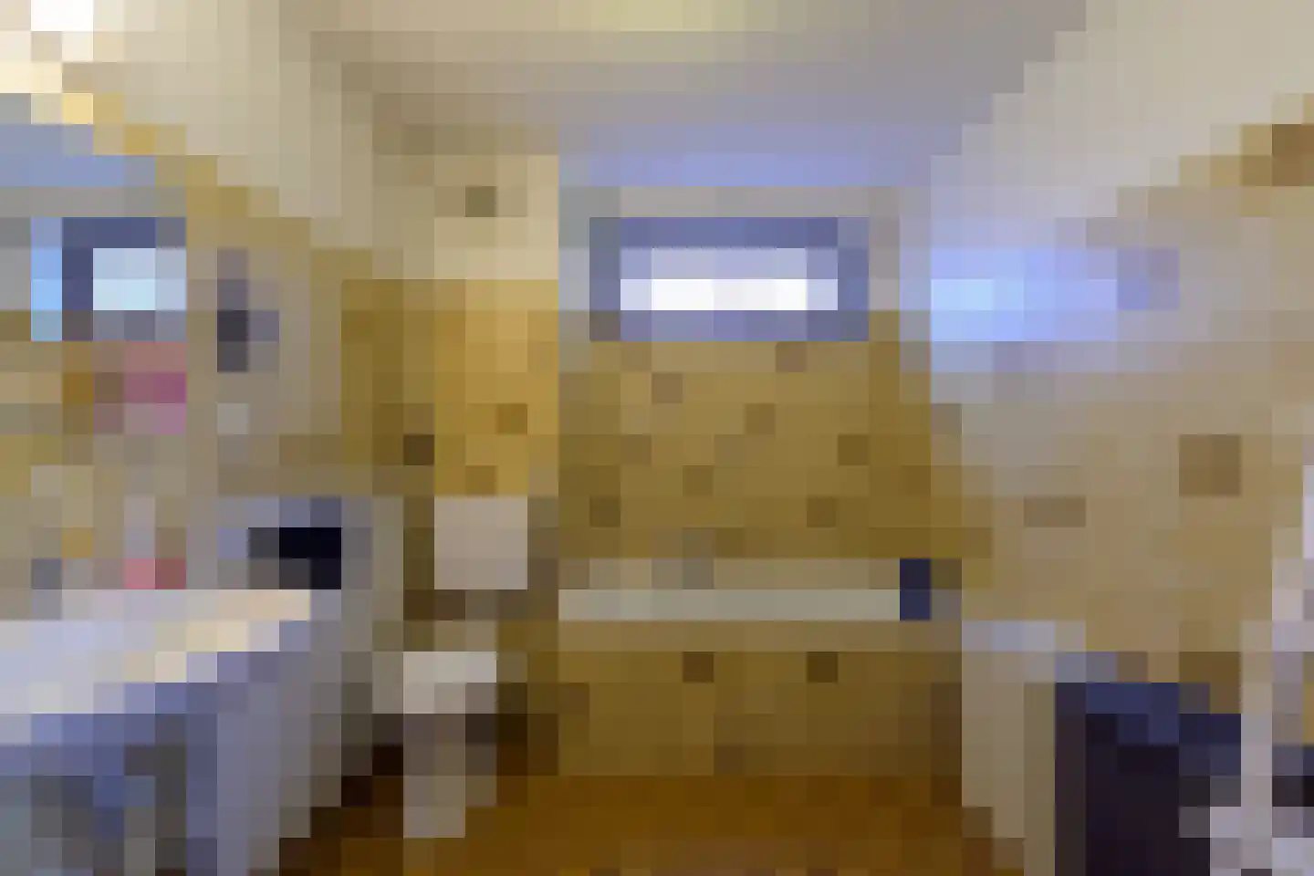 Aldringahof 2 Baarlo thumbnail 17