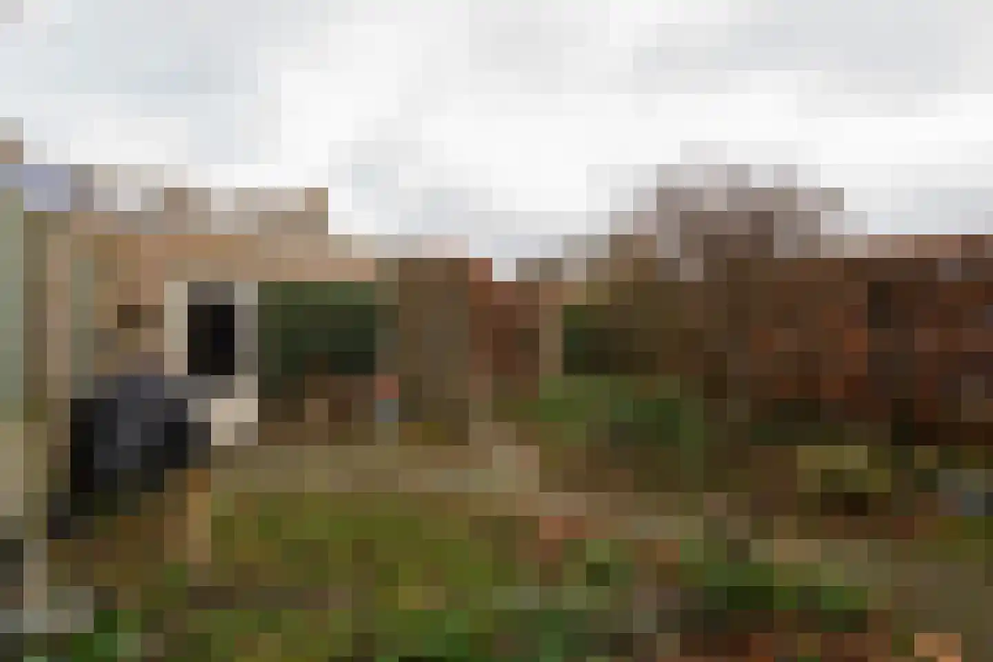 Aldringahof 2 Baarlo thumbnail 19