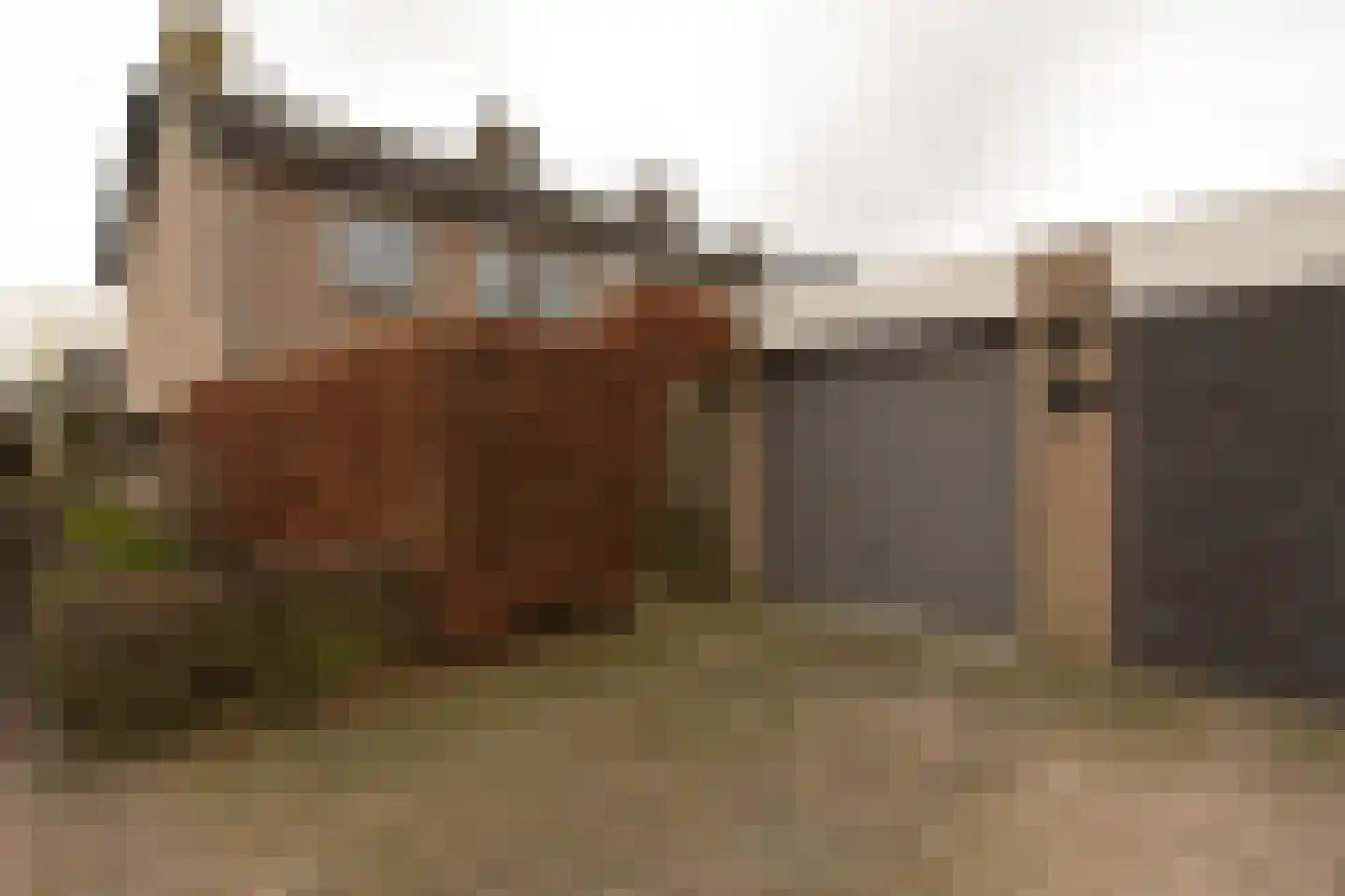 Aldringahof 2 Baarlo thumbnail 20