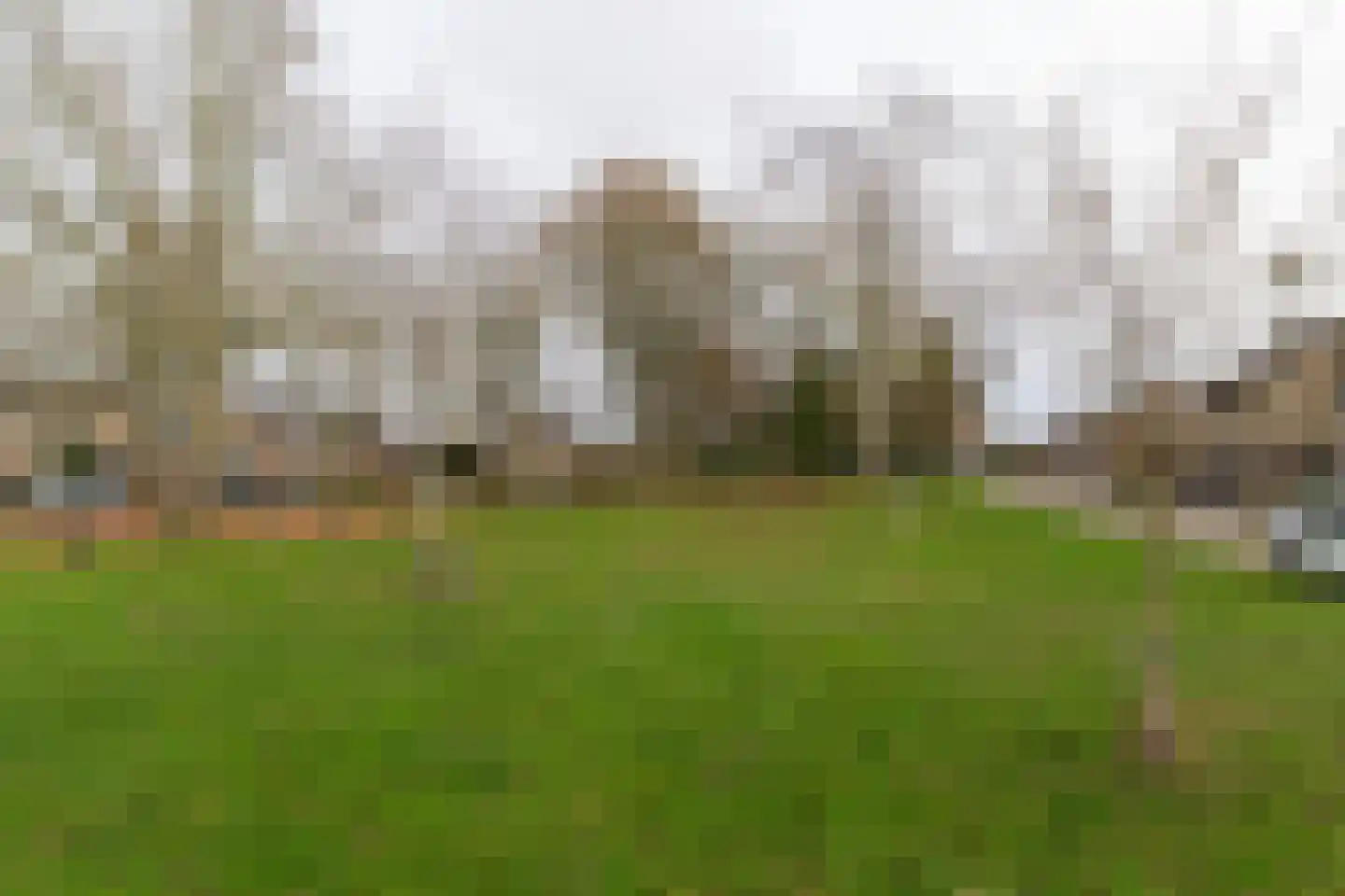 Aldringahof 2 Baarlo thumbnail 4