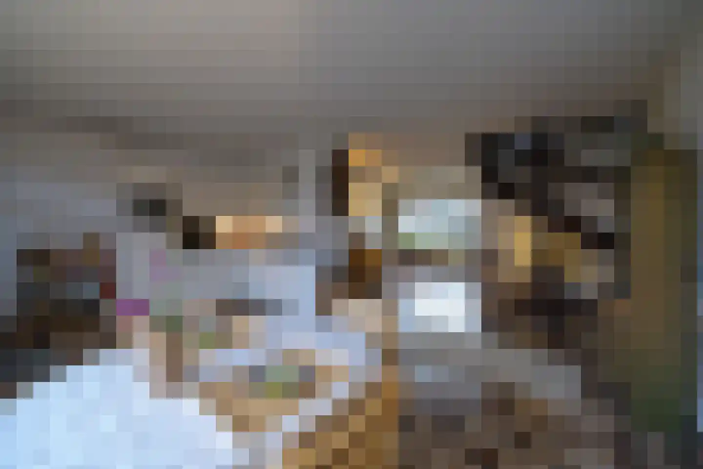 Aldringahof 2 Baarlo thumbnail 8