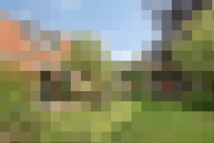Aldringaweg 22 Feerwerd foto 2