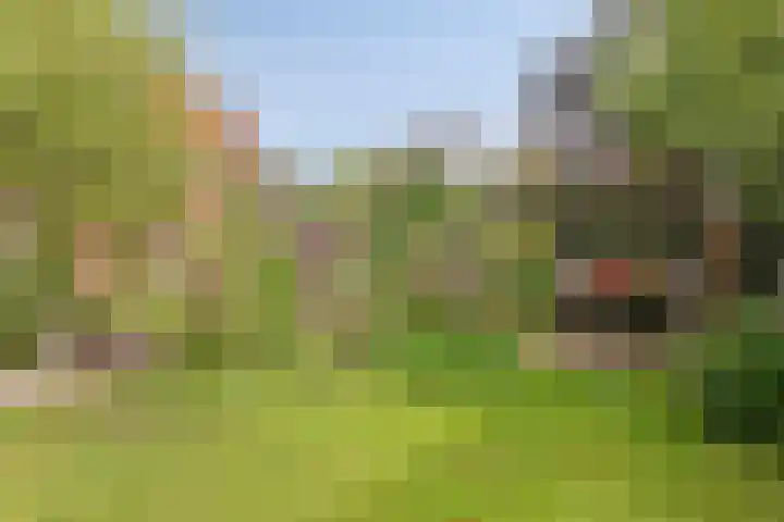 Aldringaweg 22 Feerwerd thumbnail 20