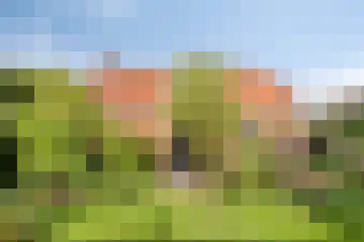 Aldringaweg 22 Feerwerd thumbnail 23