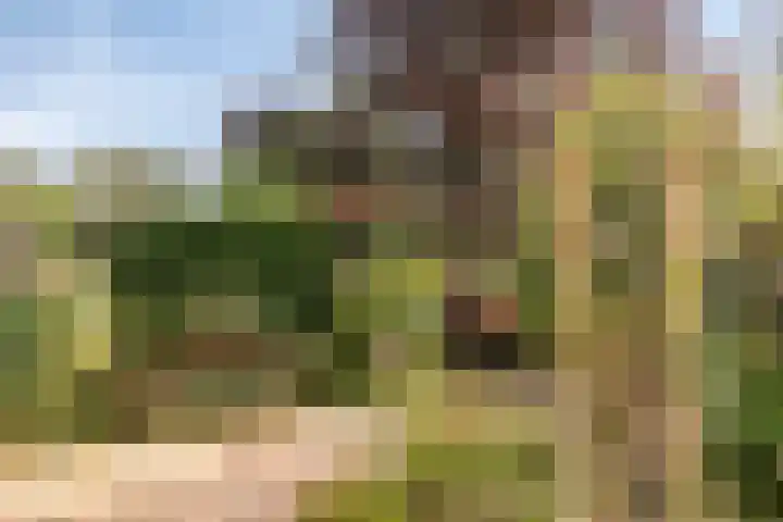 Aldringaweg 22 Feerwerd thumbnail 24