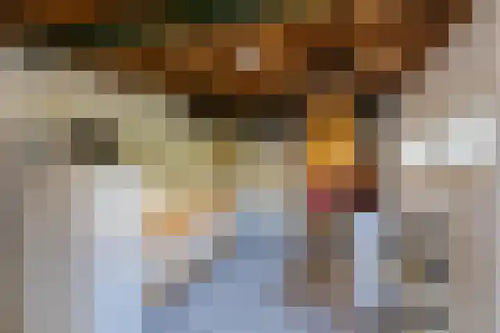 Aldringaweg 22 Feerwerd thumbnail 27