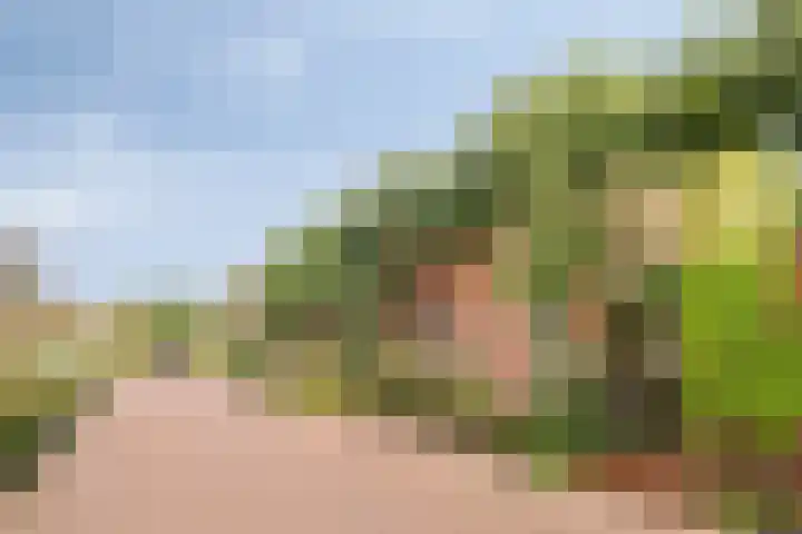 Aldringaweg 22 Feerwerd foto 3