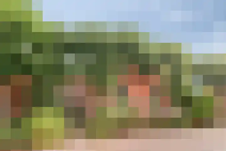 Aldringaweg 22 Feerwerd thumbnail 4