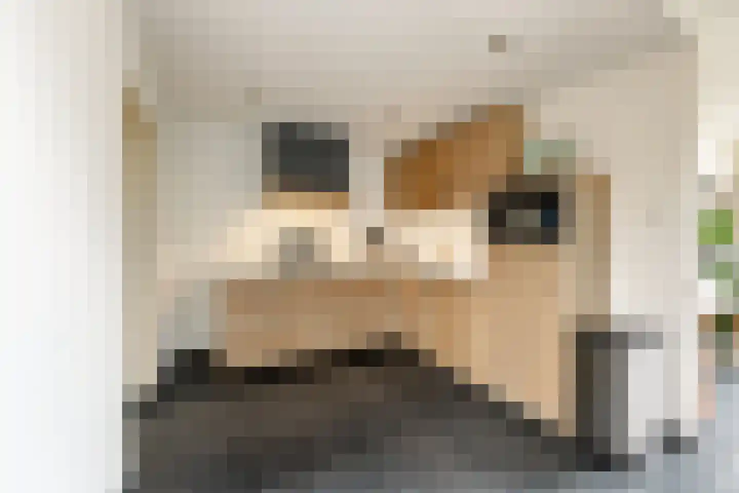 Alef van Idsingawei 18 Oosterbierum thumbnail 12