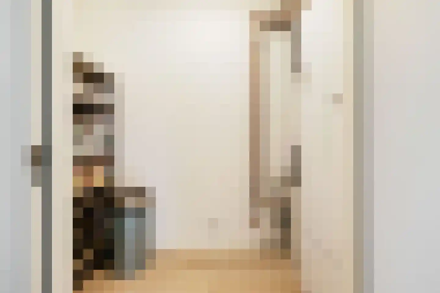 Aleida van Dieststraat 5 Helmond thumbnail 18
