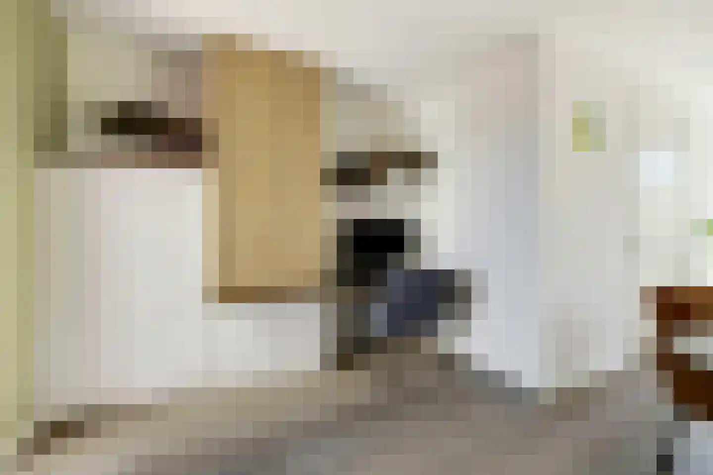Aleida van Dieststraat 5 Helmond thumbnail 20