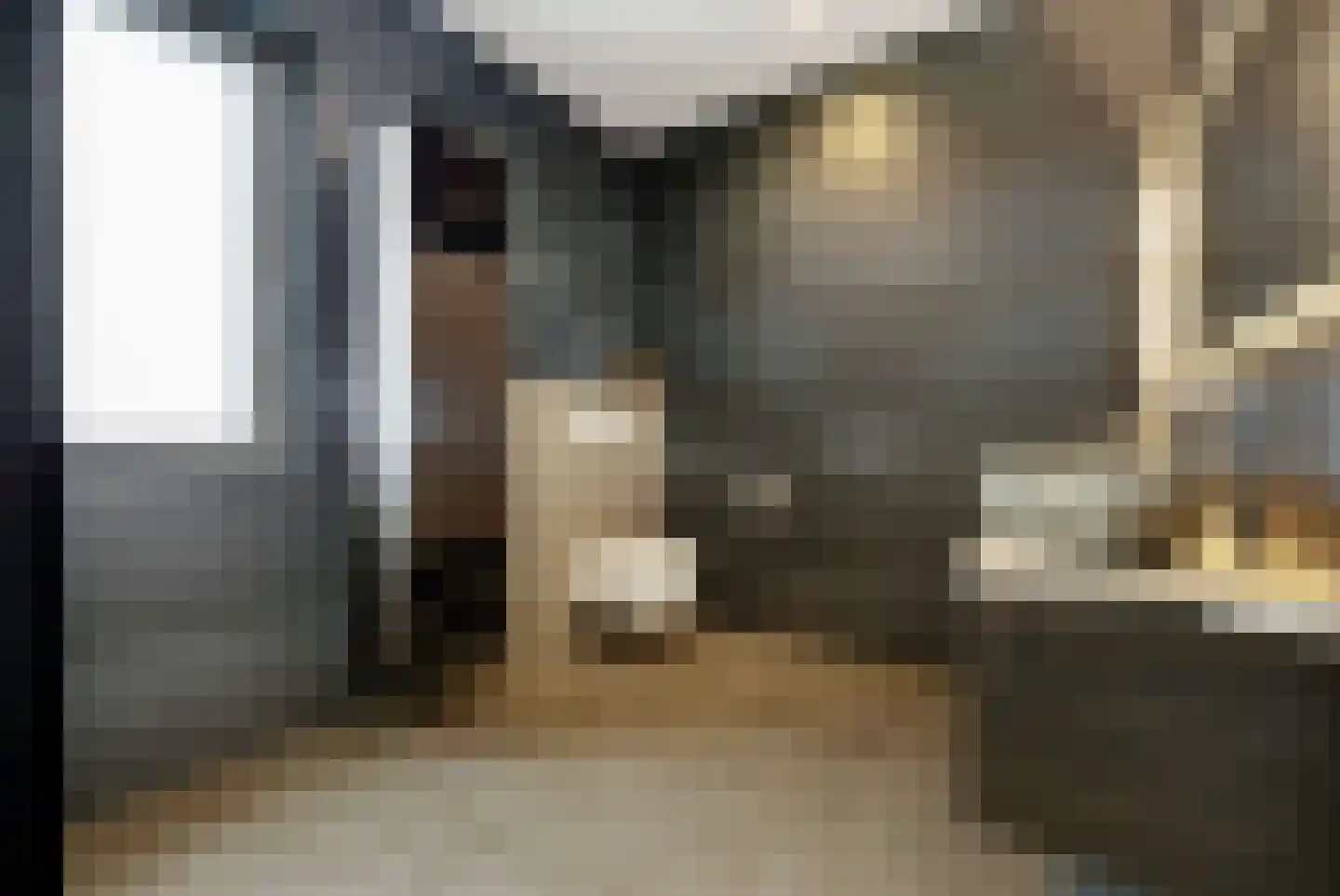 Aleida van Dieststraat 5 Helmond thumbnail 25
