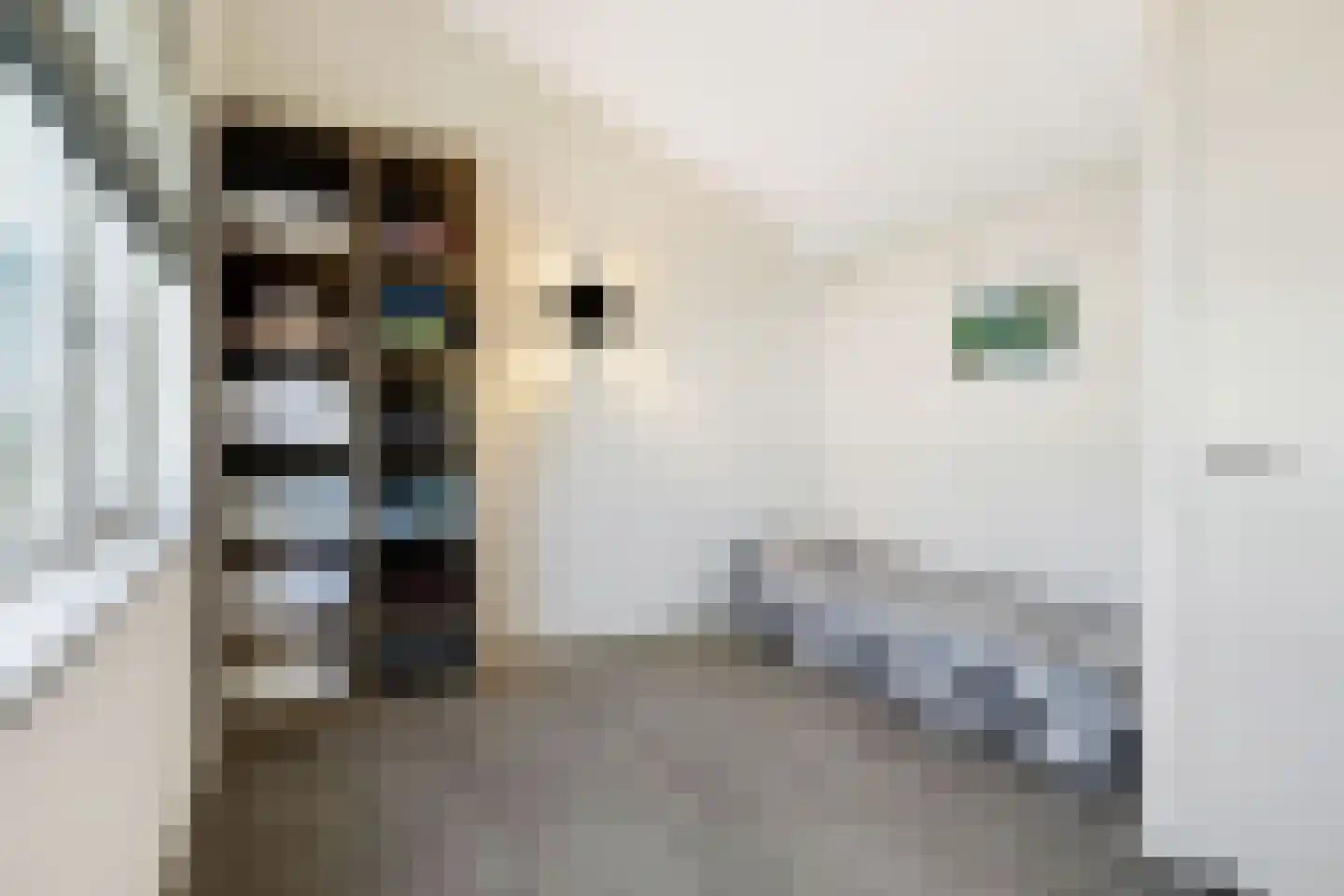 Aleida van Dieststraat 5 Helmond thumbnail 34