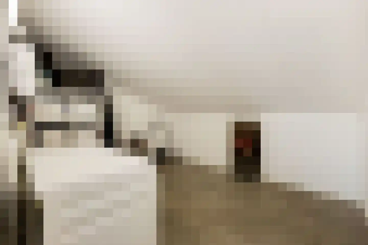 Aleida van Dieststraat 5 Helmond thumbnail 36