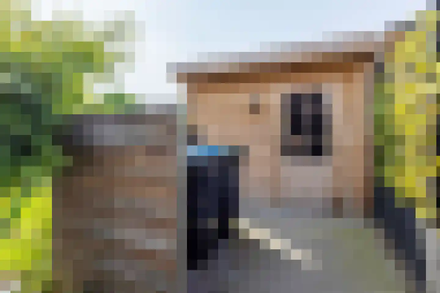 Aleida van Dieststraat 5 Helmond thumbnail 39