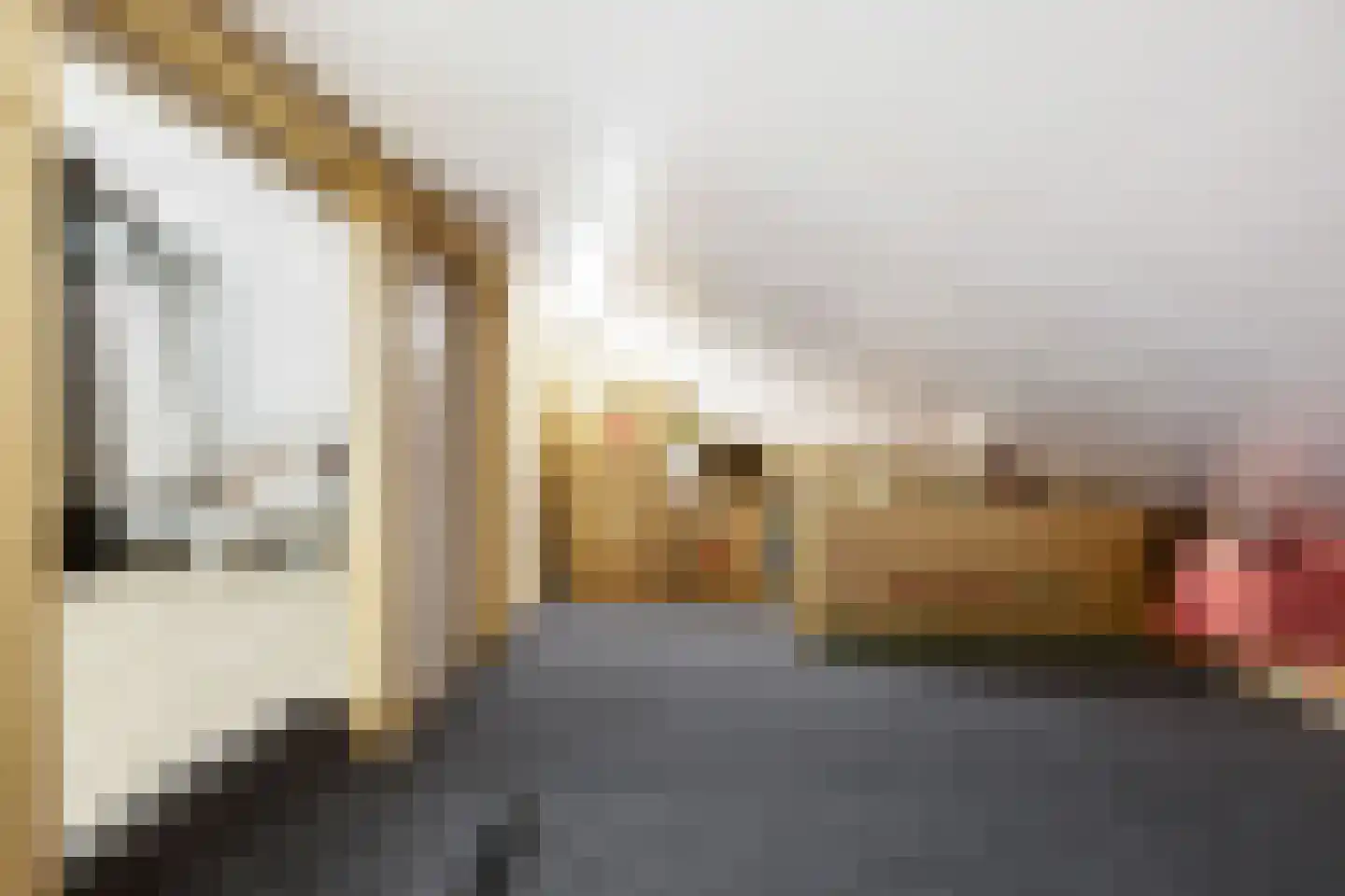 Aleida van Dieststraat 5 Helmond thumbnail 40