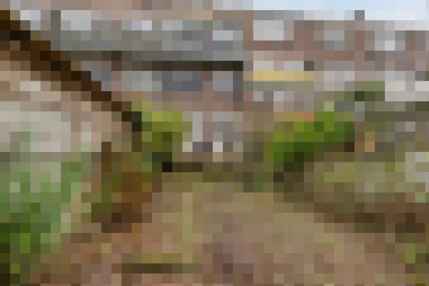 Aleidastraat 10 A Schiedam thumbnail 15