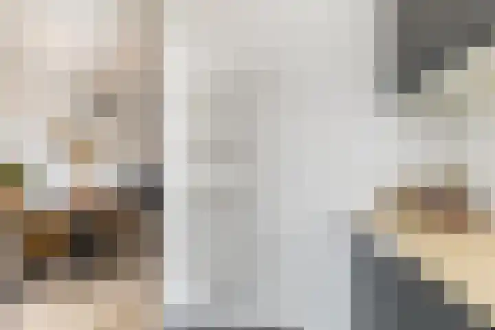 Aleidastraat 107 A Schiedam thumbnail 19