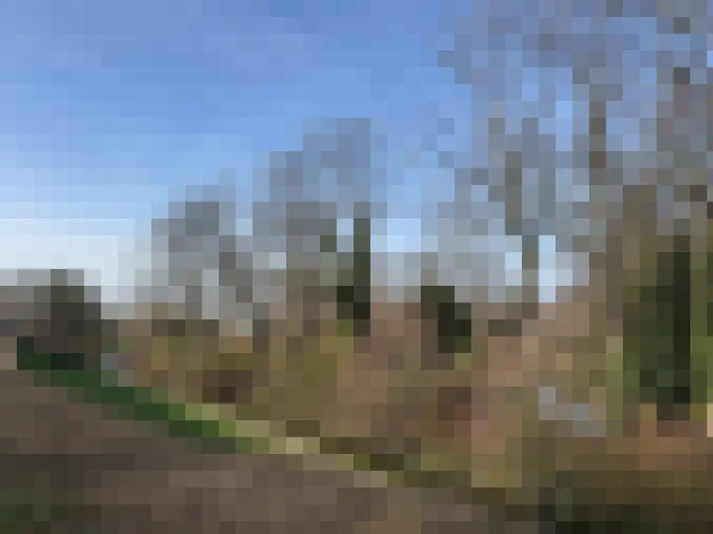Aleidastraat 126 A 2 Schiedam thumbnail 23