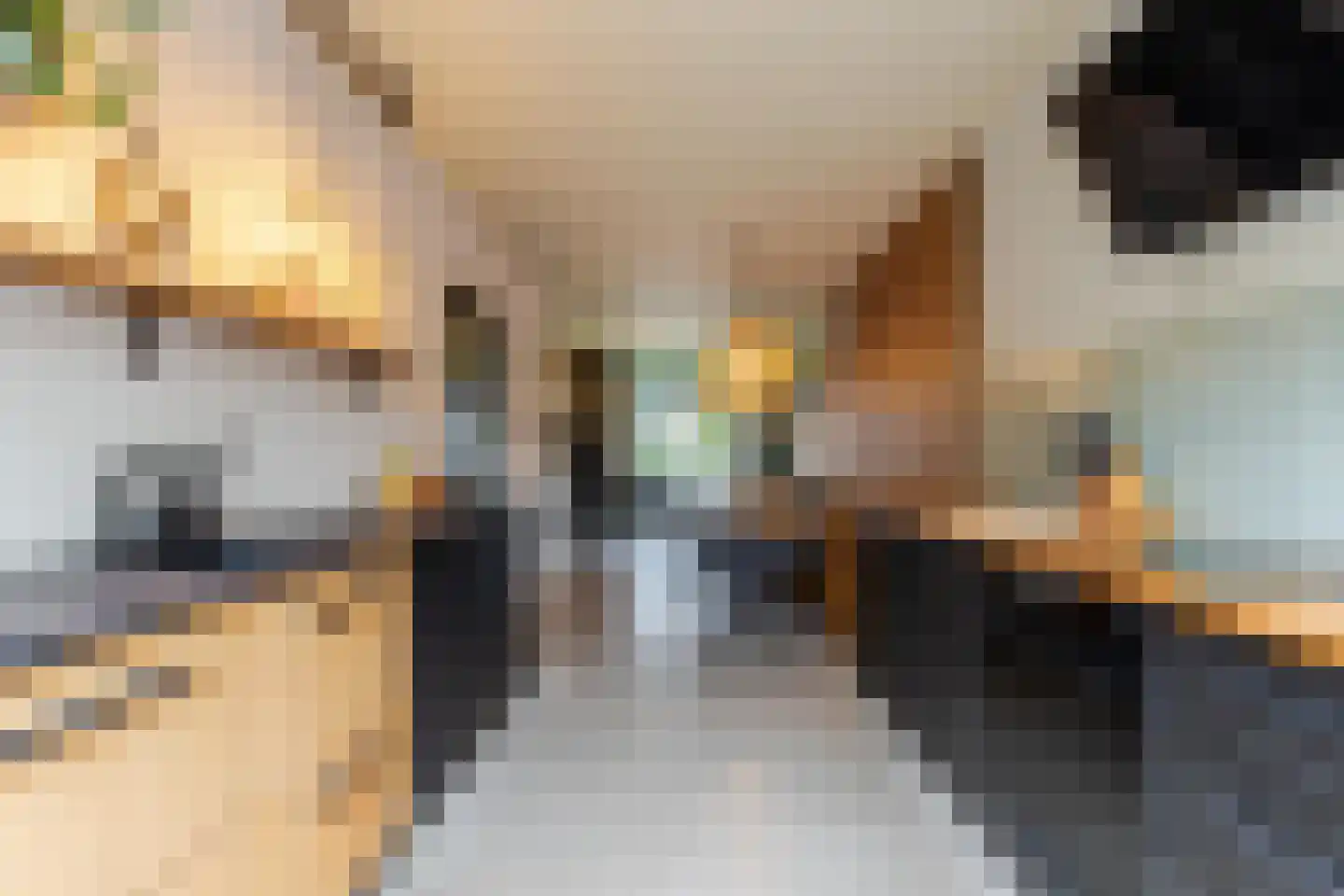 Aleidastraat 17 Schiedam thumbnail 16