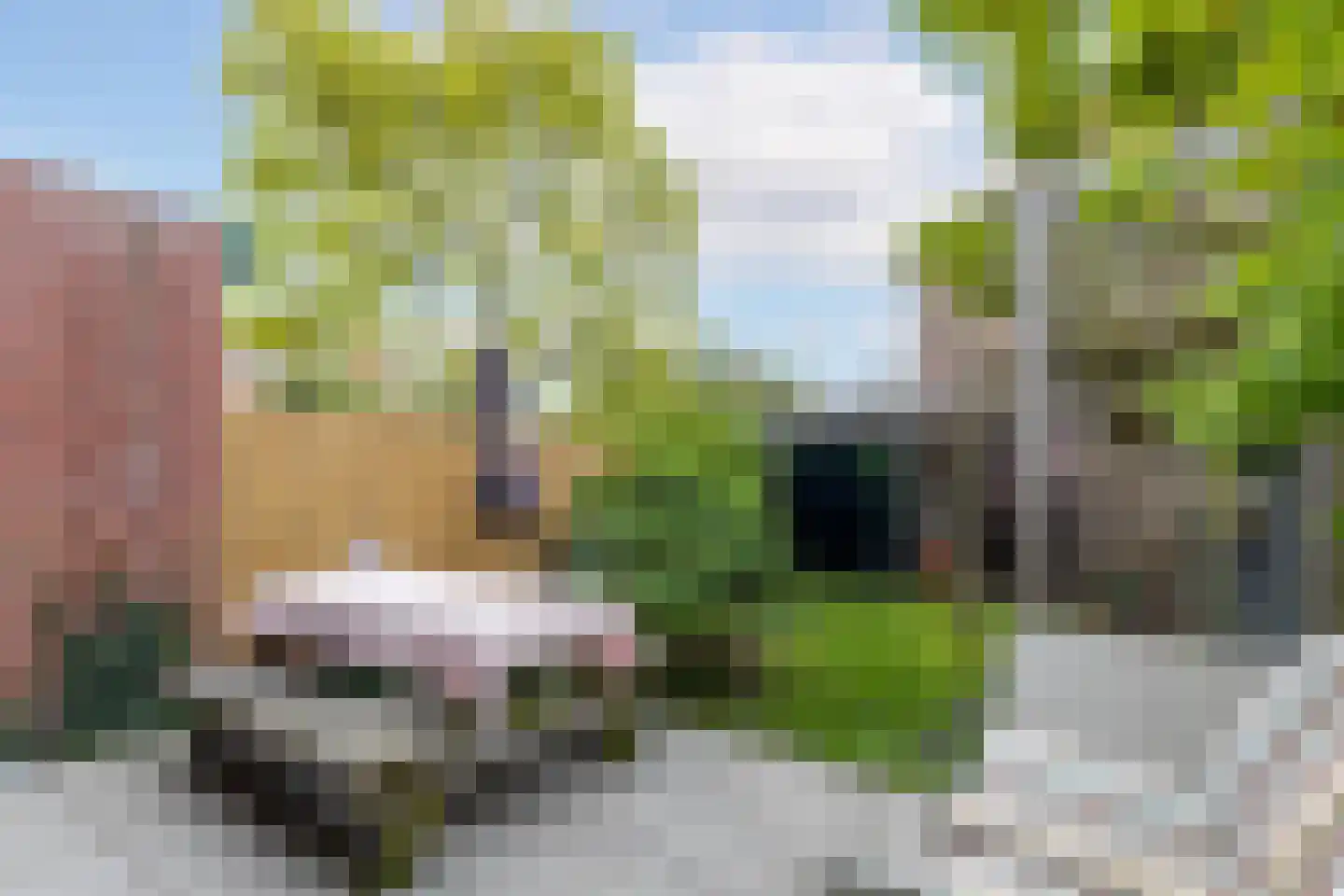 Aleidastraat 17 Schiedam thumbnail 19