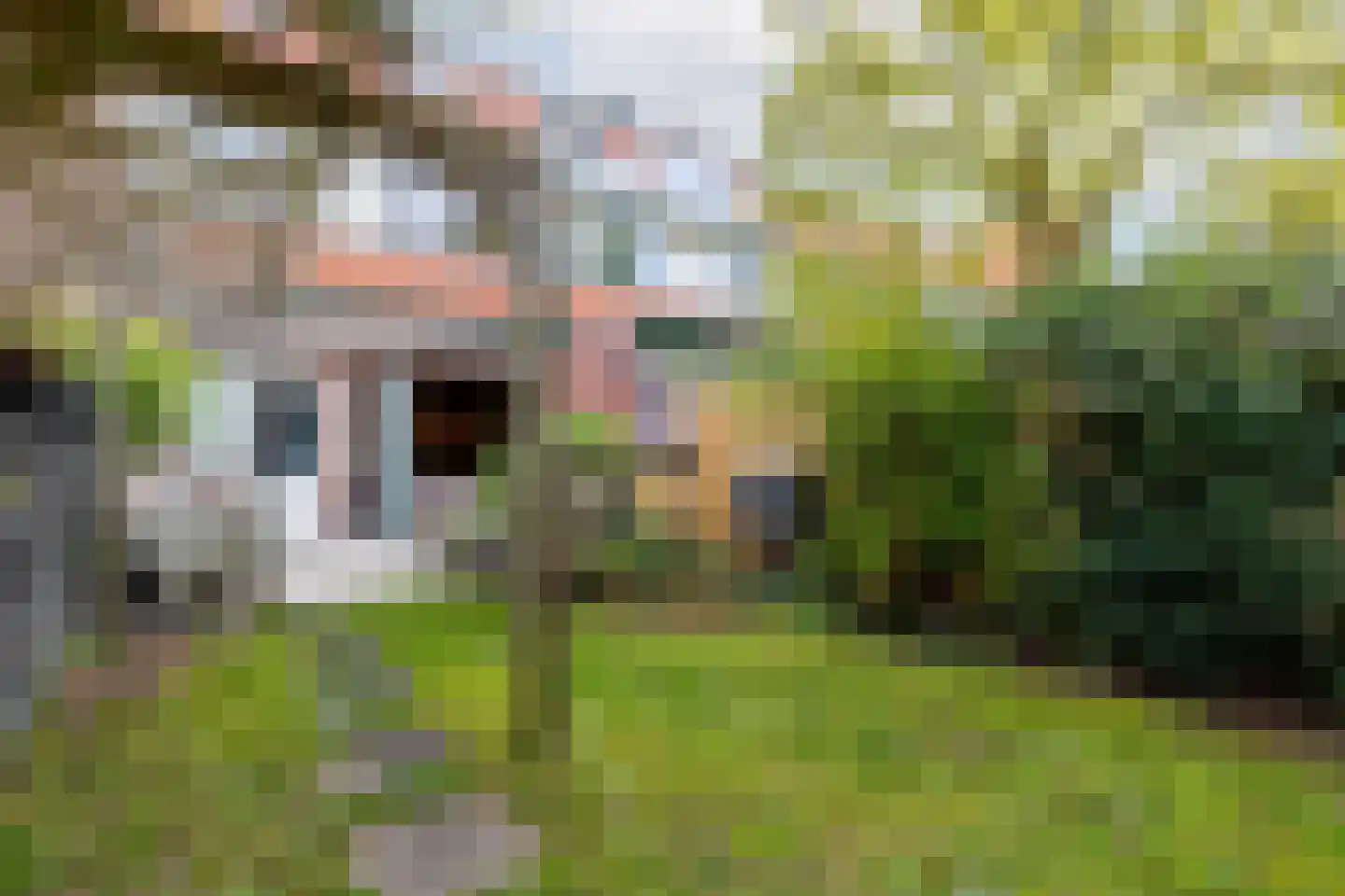 Aleidastraat 17 Schiedam thumbnail 21