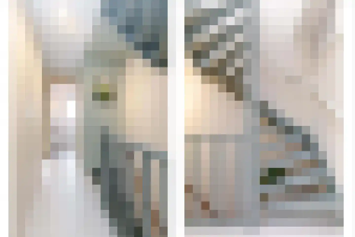 Aleidastraat 17 Schiedam thumbnail 47