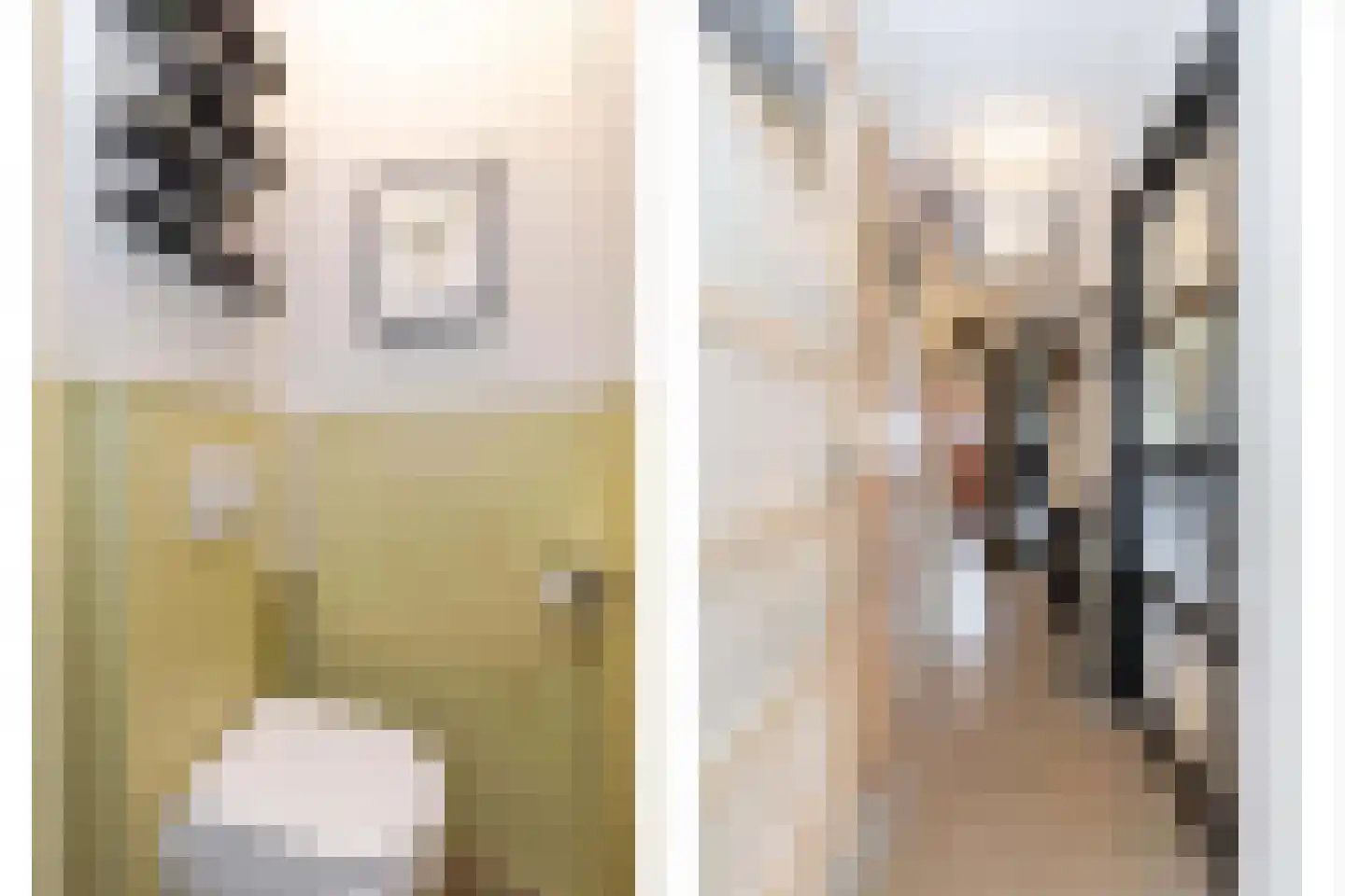 Aleidastraat 17 Schiedam thumbnail 9