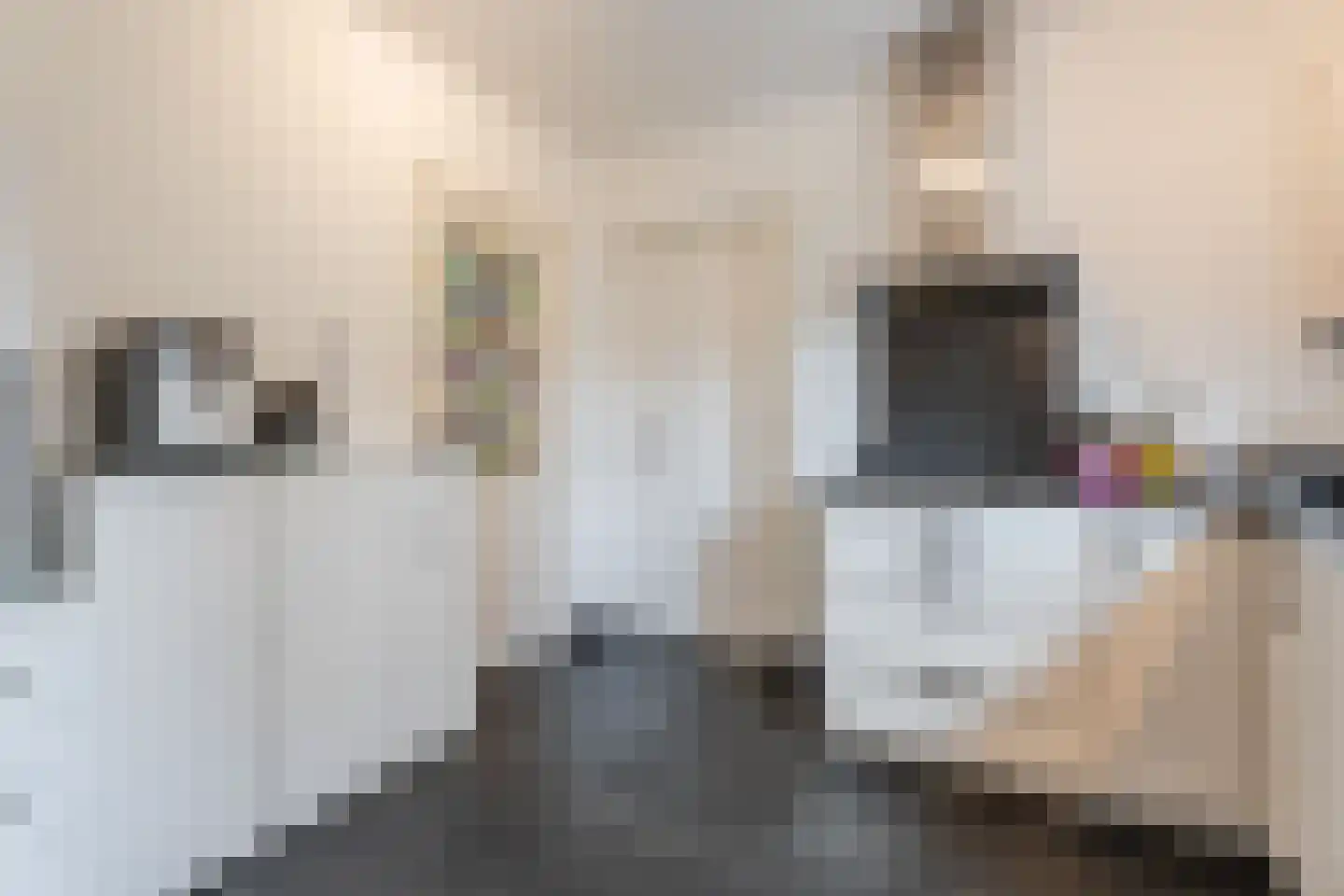 Aleidestraat 24 Cuijk thumbnail 14