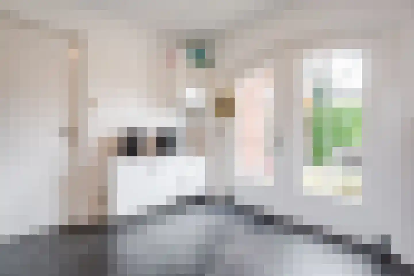 Aleidestraat 24 Cuijk thumbnail 15