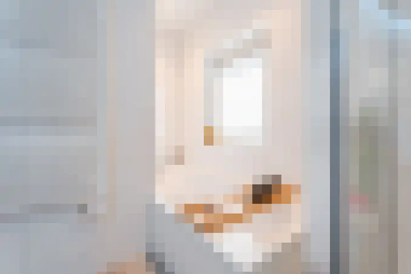 Aleidestraat 24 Cuijk thumbnail 28